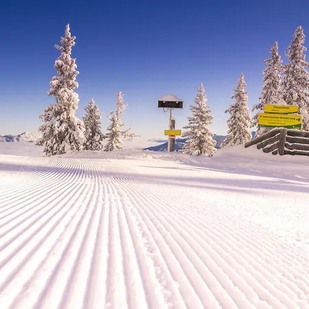 Neu Apartment Schladming